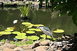 Papakea Resort K-206