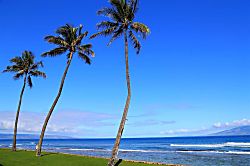 Papakea Resort K-206