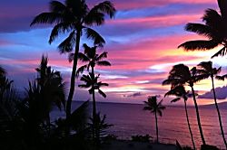 Maui Rose at Hale Ono Loa  412