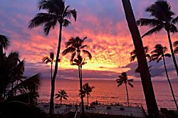 Maui Rose at Hale Ono Loa  412