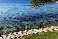 Maui Rose at Hale Ono Loa  412