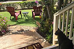 Baby Beach Bungalow 2