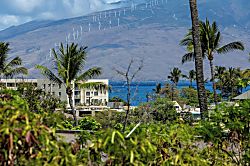 Kihei Akahi Corner Studio