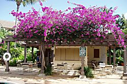 Maui Kamaole Vacation Rental