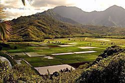 Plantation at Princeville 612