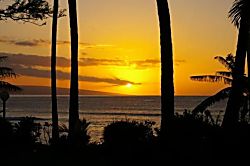 Kuleana Resort Unit 411