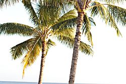 Kiahuna Plantation #107 (building 17)