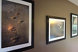 Koa Resort 5B 2-Bedroom