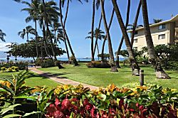 Kaina A Nalu Ground Floor Condo