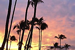 Kanai a Nalu 2nd Floor Rental