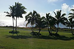 Kehena Beach Studio Retreat