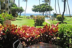 Kana'i a Nalu Ground Floor