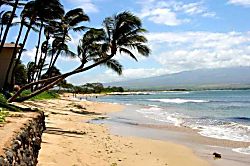 Kana'i a Nalu Ground Floor