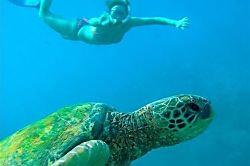 Kana'i a Nalu Ground Floor