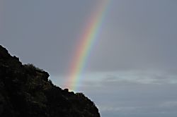 Hawaiian Princess-Makaha