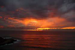 Hawaiian Princess-Makaha