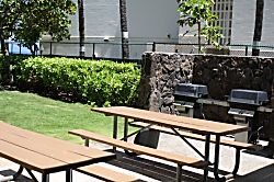 Hawaiian Princess-Makaha