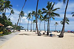 Hawaiian Monarch Waikiki Rental