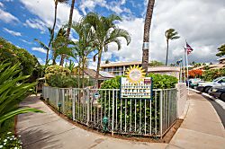 Kihei Beachside Condo Unit 204