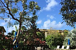 Wai Komo Stream Villas Ground Floor