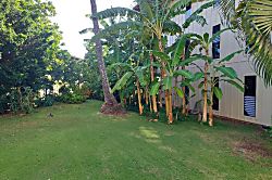 Wai Komo Stream Villas Ground Floor