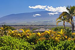 Paradise Garden Hale