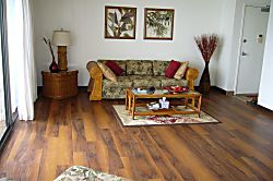 Historic Kailua Village Oceanview Condo