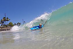 Kuhio Shores 116