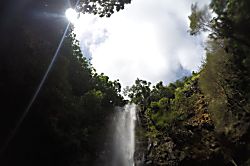 Kuhio Shores 116