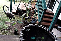 Mama J's Tropical House