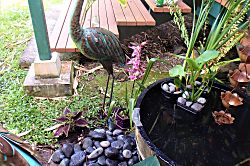 Mama J's Tropical House