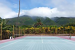 Molokai Mojo