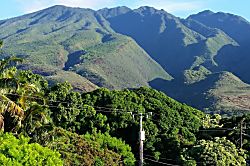 Molokai Mojo