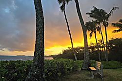 Molokai Mojo