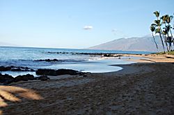 Maui Kamaole A115