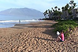 Kihei Akahi Condo Near Kama'ole Beach 