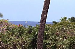 Kihei Akahi Condo Near Kama'ole Beach 