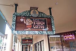 Royal Kahana Resort #914