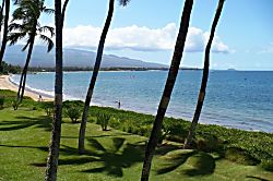 Sugar Beach Resort 226