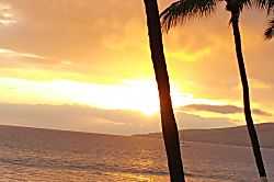 Sugar Beach Resort 226