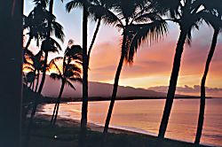 Sugar Beach Resort 226