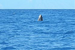 Sugar Beach Resort 108