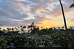 Maui Vista 1310