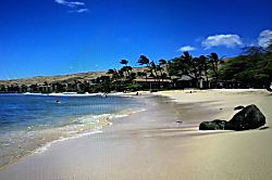Kanai A Nalu Condo Oceanfront 2BR in Maalaea