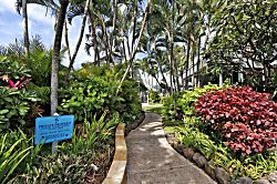 Kahana Outrigger 1A2