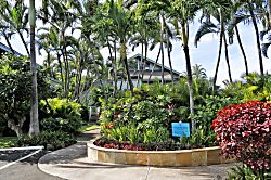 Kahana Outrigger 1A2