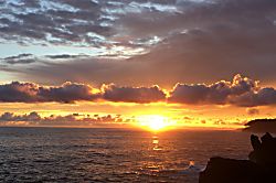 Ocean View Suite 830163