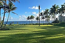 Ocean View Suite 830163