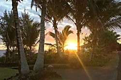 Ocean View Suite 830163