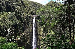 Ocean View Suite 830163